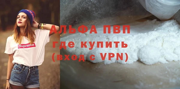 ПСИЛОЦИБИНОВЫЕ ГРИБЫ Ельня