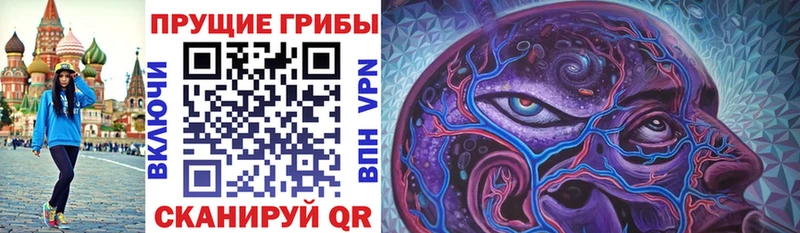 Псилоцибиновые грибы Psilocybe  MEGA как зайти  Елизаветинская 